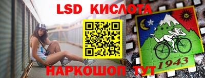 не бодяженный Кингисепп