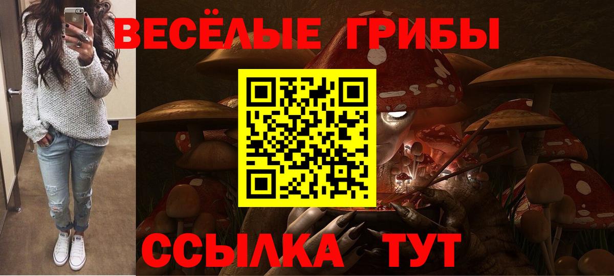 Псилоцибиновые грибы мицелий Курск